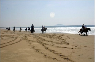  Randonnées à cheval sur le sable 